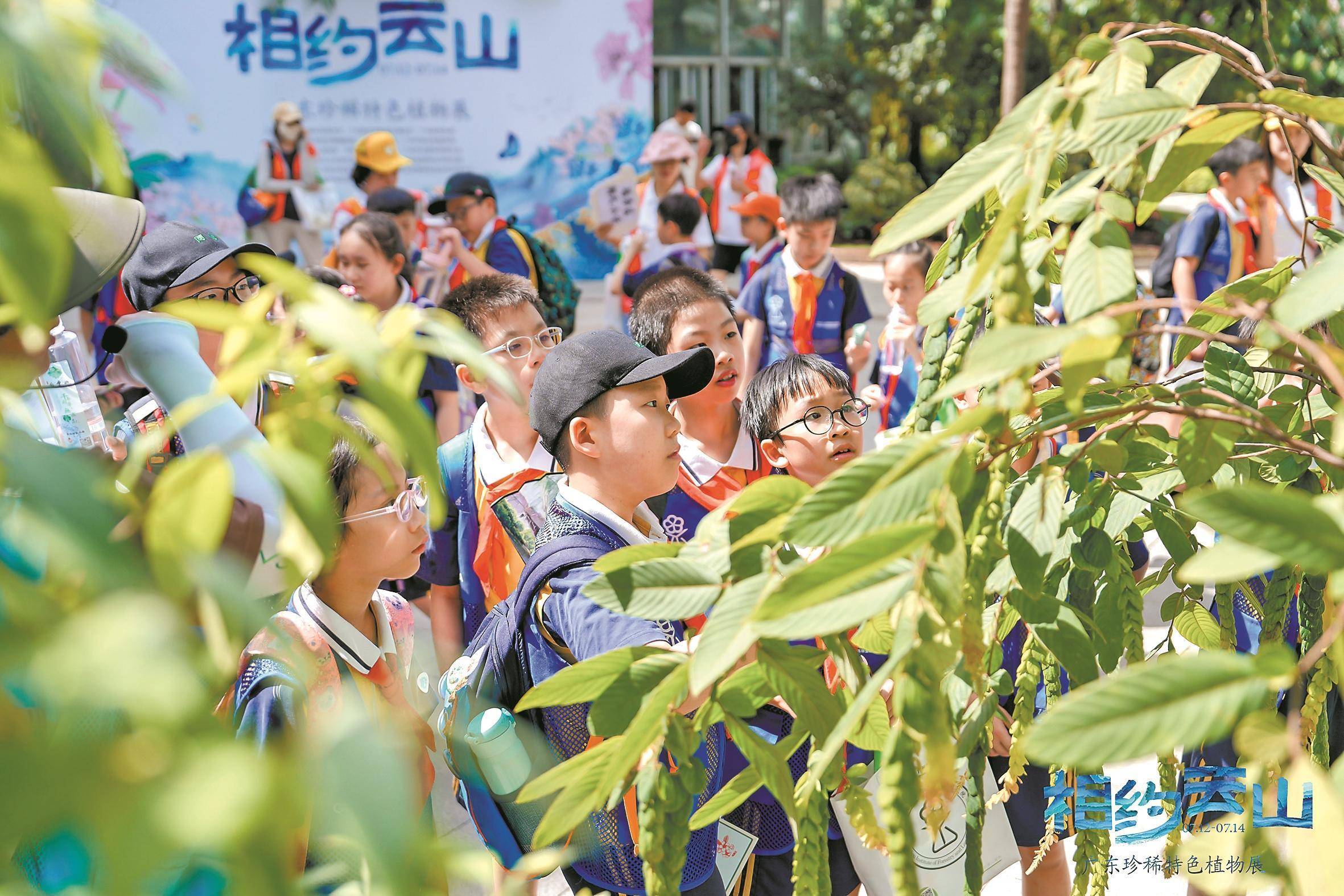 新澳门一肖一码中恃,国家植物园体系建设稳步推进 植物迁地保护能力大幅提升