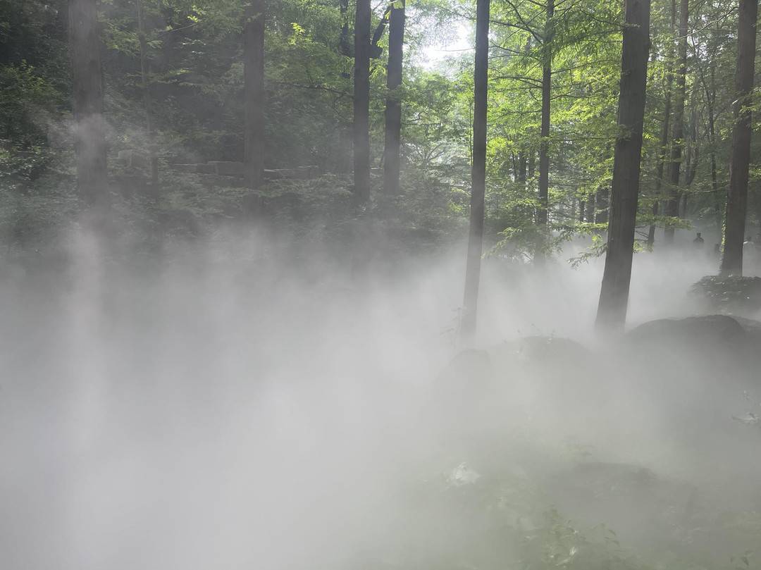 澳门新三码必中一免费,崧盛股份：植物照明专用LED驱动电源已成功应用于全球首座无人化植物工厂