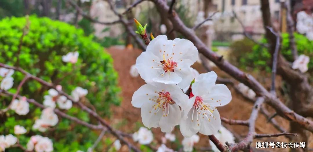 澳门一肖一码一特一中,1790位教育工作者教师节前受表彰 祝贺！