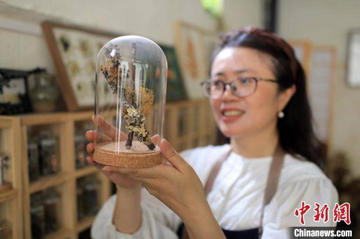 澳门一码一肖一特一中,国家植物园建设进展如何？国家林草局回应