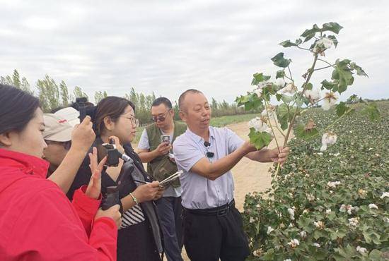 澳门一肖一码一码开奖结果,科技的奇妙探索：人工智能、大数据与量子计算的未来图景