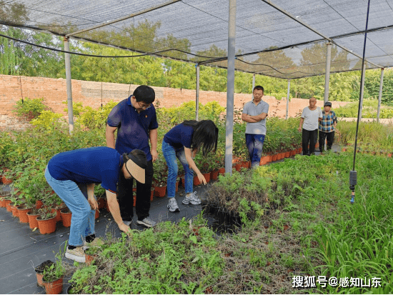 2024澳门天天开好彩大全杀码,华夏碧水环保取得水体净化相关专利，有利于水体植物生长