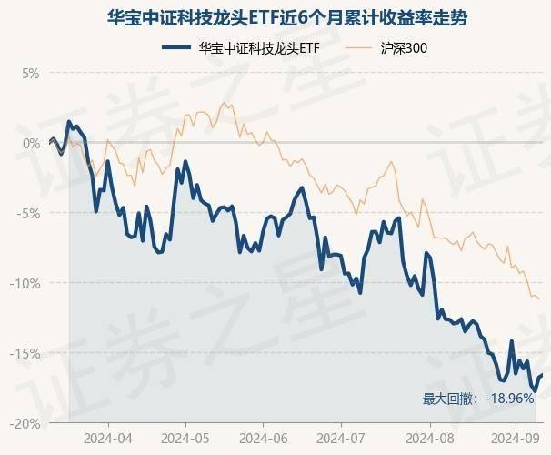 澳门内部最精准免费资料,为何深圳成为华为中兴等高科技企业的摇篮？新书揭秘税收作为