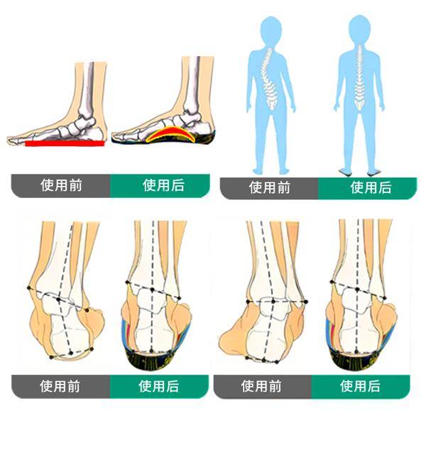 新澳门天天彩2024年全年资料,衡水市饶阳法院联合县教育局举行“法治护航，健康成长”启动仪式