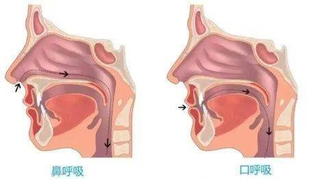 202管家婆一肖一码,威海经区蒿泊中学开展心理健康知识宣讲