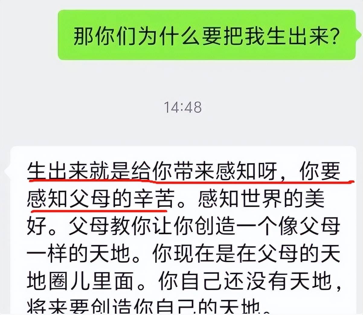 2024澳门一肖一码一特一中,东北财经大学国际商学院院长孟韬：AI挑战下会计教育站在十字路口，但会计教育不可能被替代