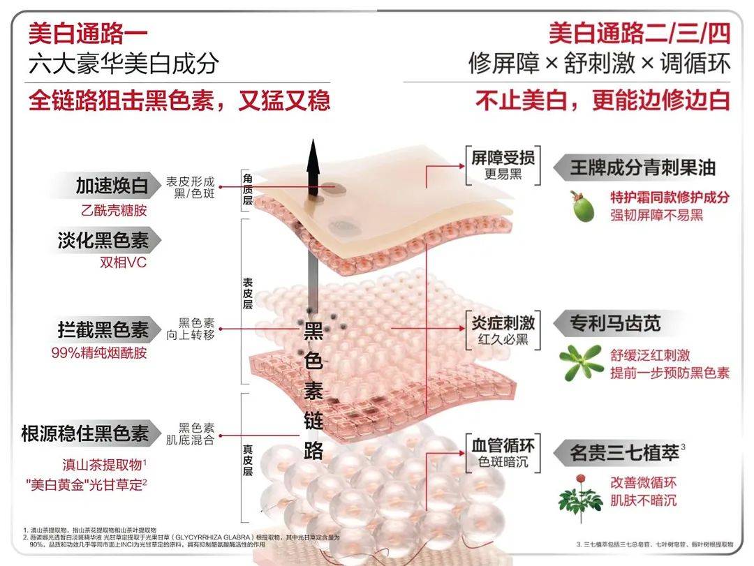 新澳门管家婆一码一肖一特一中,为患者生命健康“奔跑”