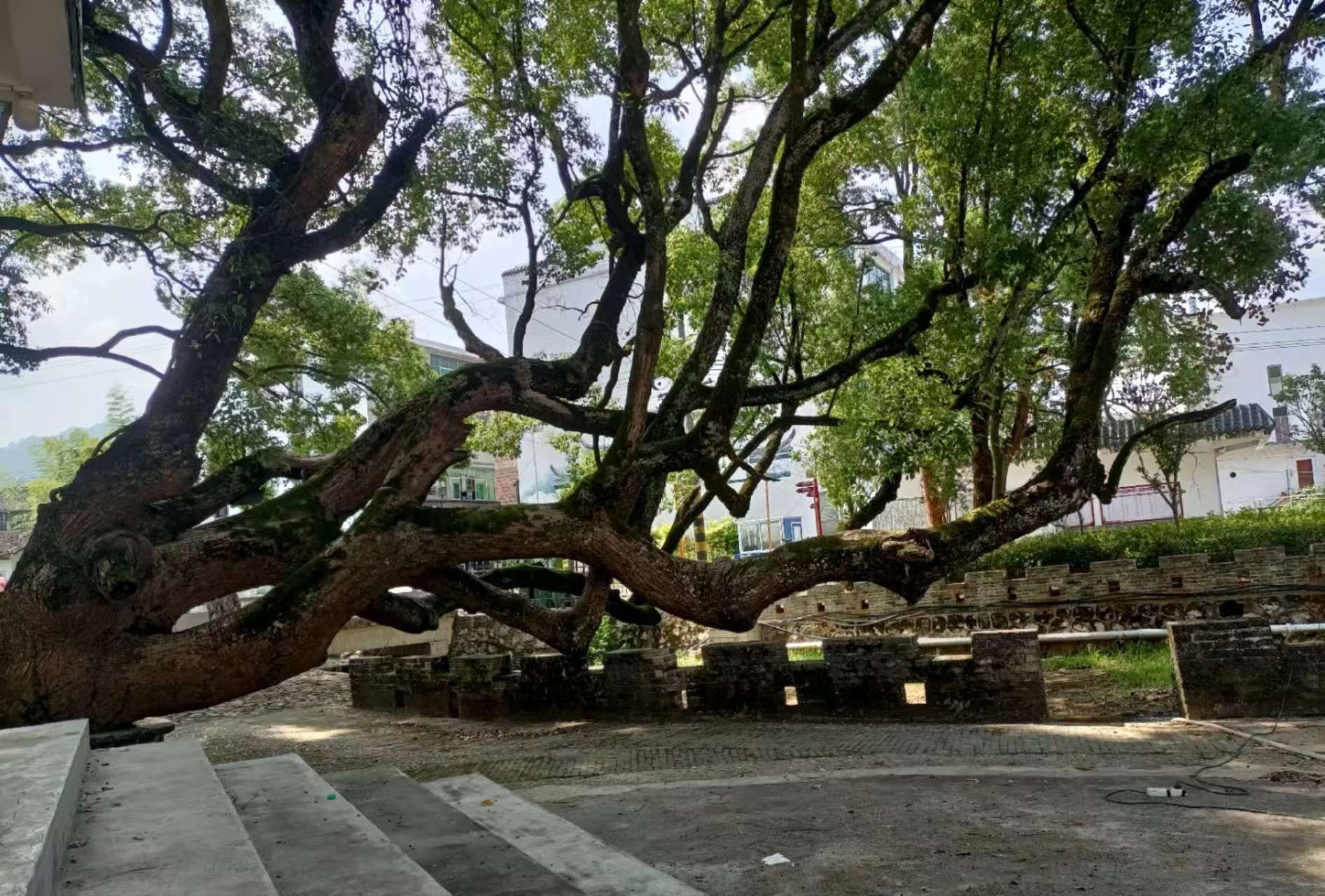 澳门管家婆一码一肖中特,市委常委会召开会议，研究重大活动服务保障和教育工作等事项