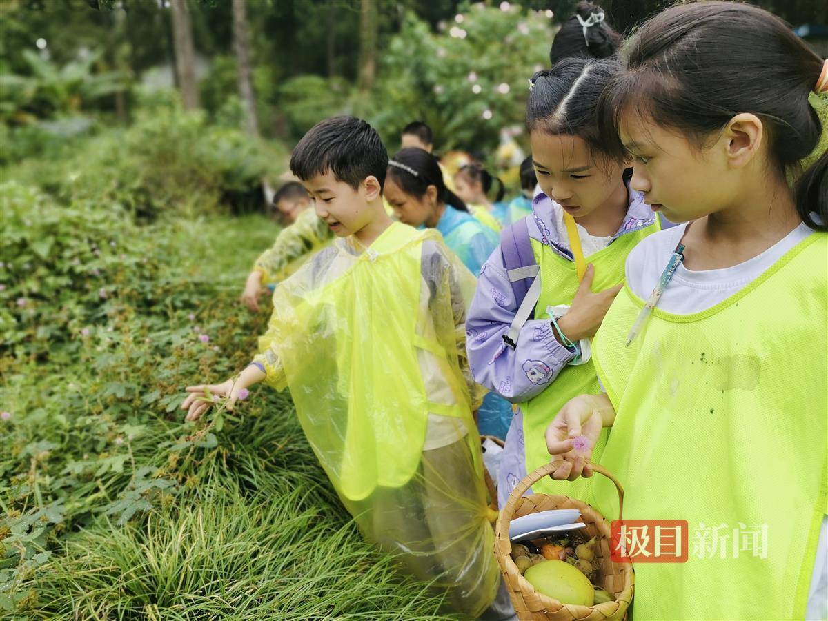 香港管家婆一肖一码,盘点华南国家植物园内的珍稀植物