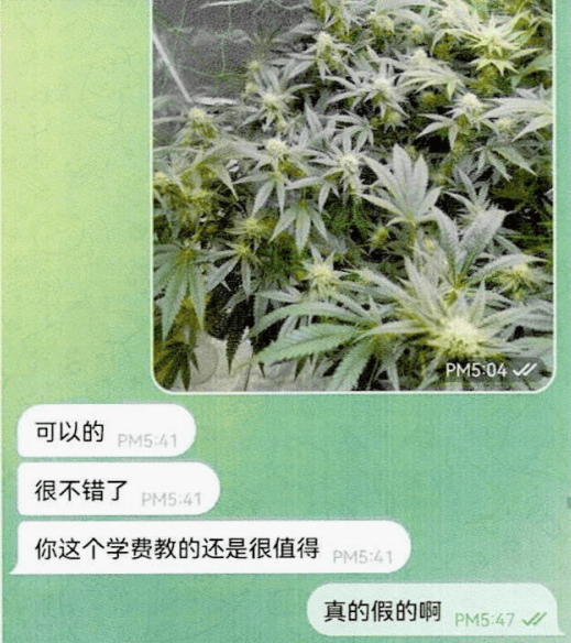 一肖一码,广东出台植物迁地保护体系规划 推动植物资源保护和可持续利用