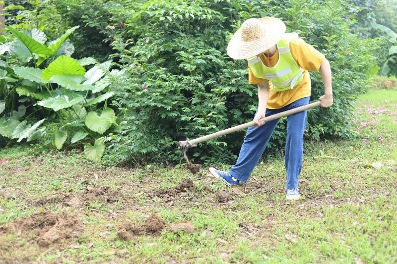 澳门正版免费资料大全新闻,奇幻植物园：全球珍稀植物的秘密