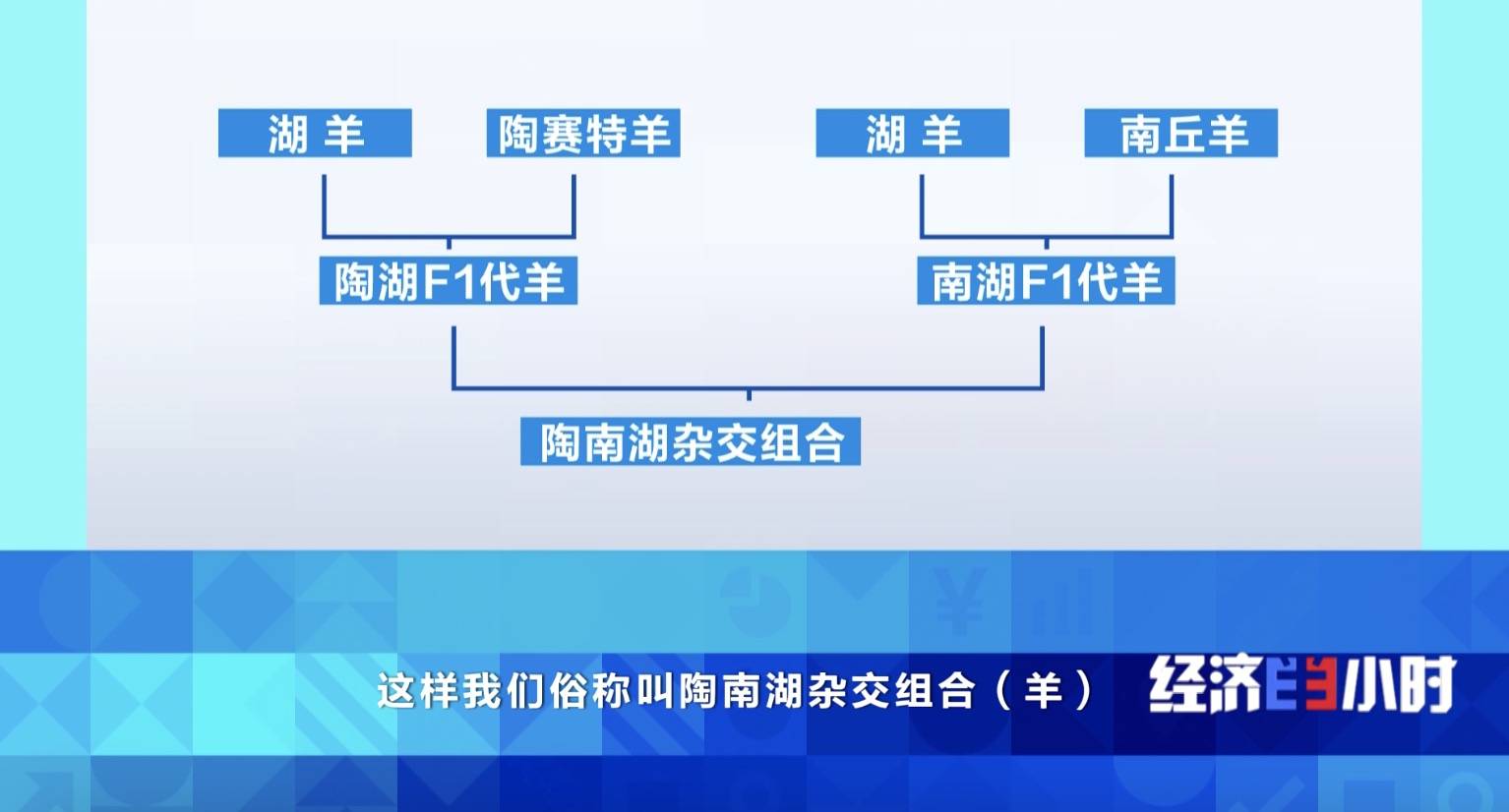 澳门一肖一码一特一中云骑士,研控科技下跌11.05%，报2.38美元/股