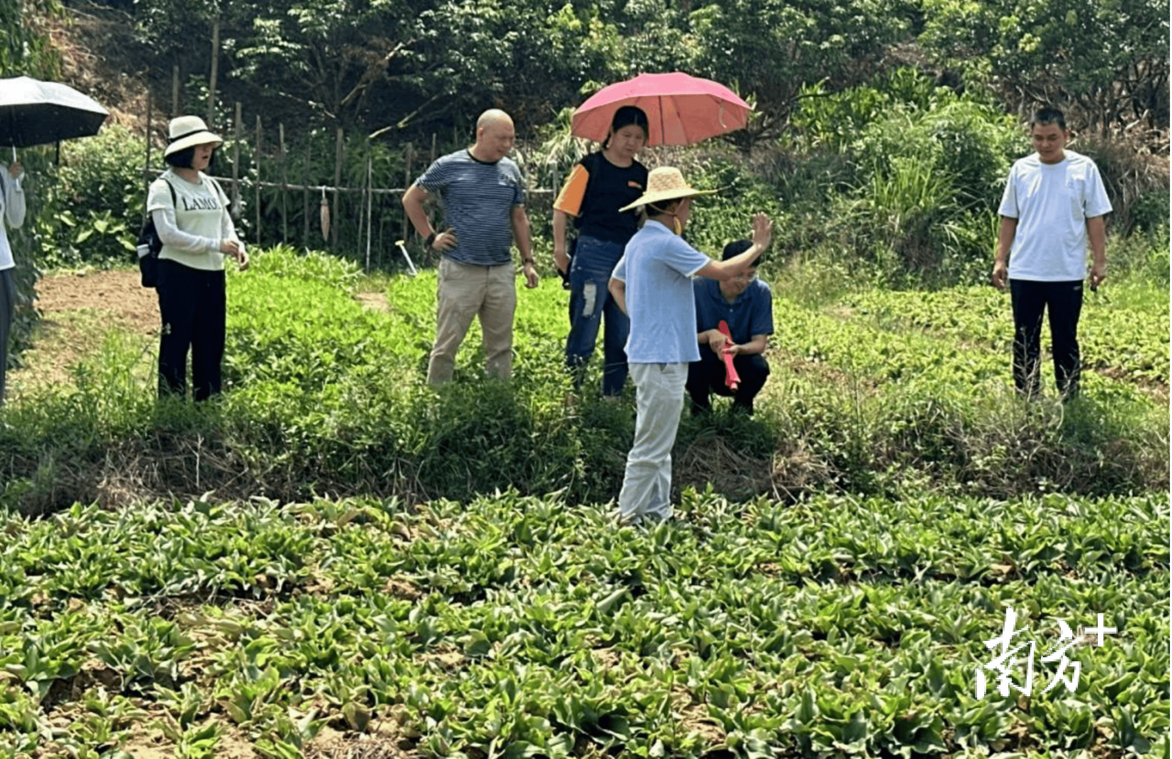 2024澳门资料大全免费808,瑞松科技（688090）9月5日主力资金净买入351.86万元