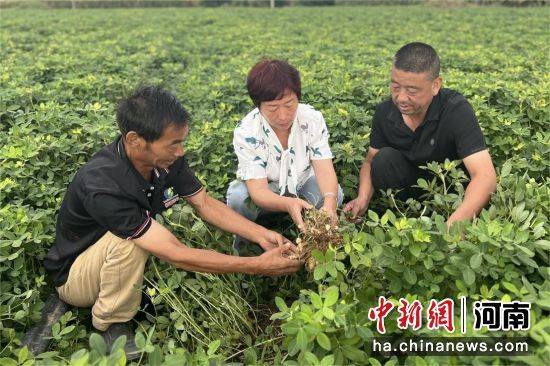 管家婆必出一肖一码一中一特,吉峰科技： 吉峰科技作为全国农机连锁龙头企业，主营业务为高端特色农机具制造与流通服务